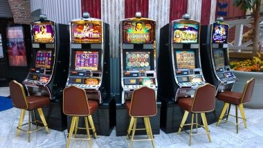 Account verification on musang togel mobile interface